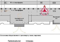 LvSC202A