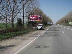 0041_Іва