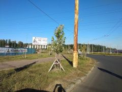 т1105Б