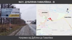 №31