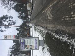21б