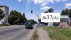 37_Ужг_А_Бор