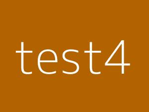 /media/static_carousel/2/test4